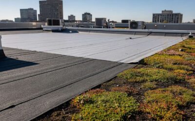 Quel revêtement choisir pour un toit plat ?